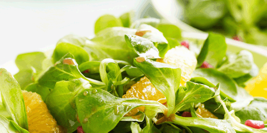 View Events Calendar